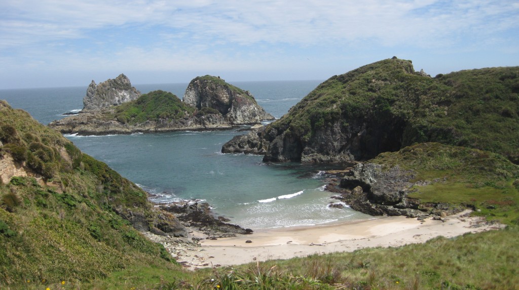 Chile hat bezogen auf seine Gesamtgröße eine extrem lange Küstenlinie. Hier: Felsige Küstenlandschaft auf Chiloé, größte Insel Chiles