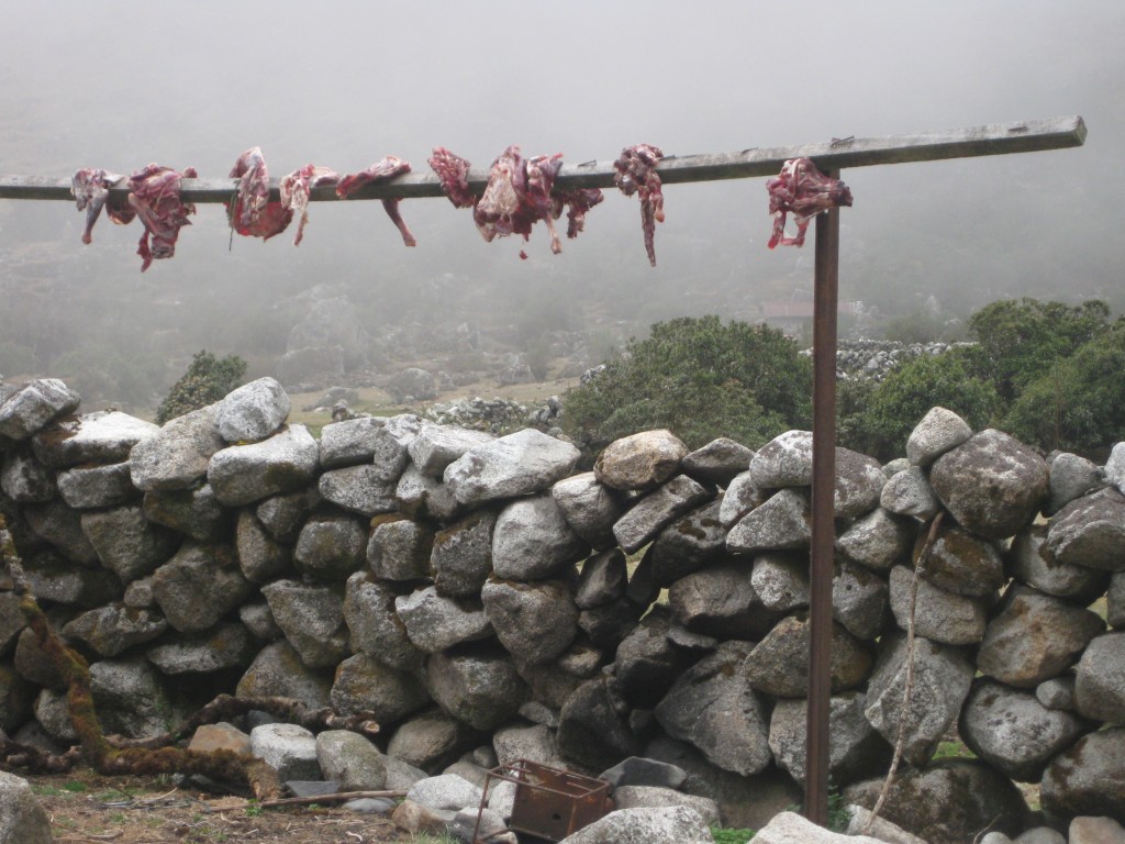 Fleisch zum Trocknen (und Lagern?) über eine Holzstange gelegt