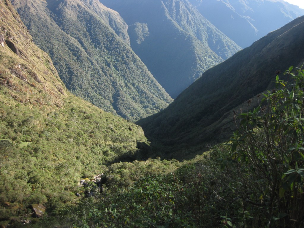 Blick hinunter auf die Yungas