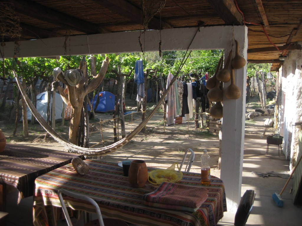 Der Blick von der Terrasse in den Garten