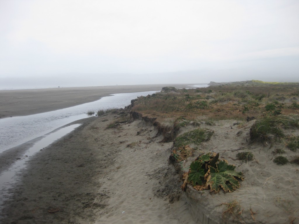 Im Nationalpark von Chiloé: Die raue Küste der Insel