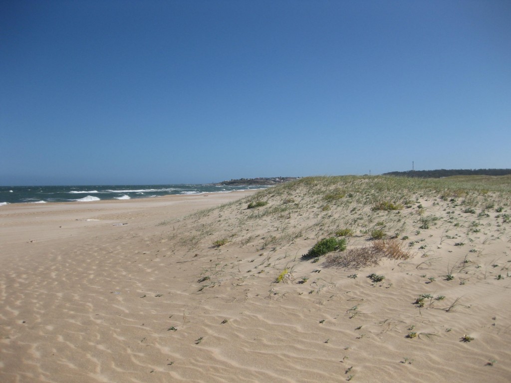 Strandurlaub Argentinien? Strandurlaub Uruguay als Alternative. Hier Punta Rubia, La Pedrera